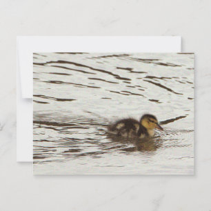 Entnahme-Foto Postkarte