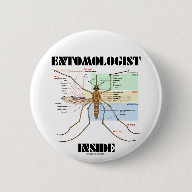 Entomologe-Innere (Moskito-Anatomie) Button (Vorderseite)