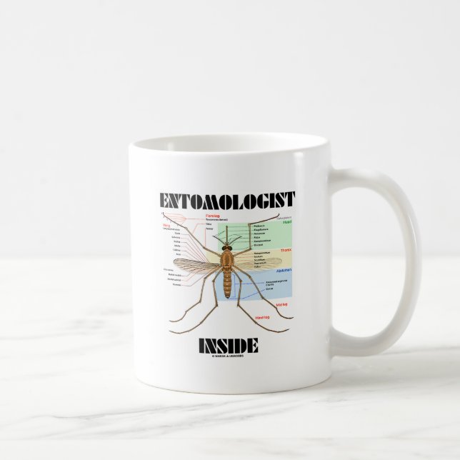 Entomologe-Innere (Moskito-Anatomie) Tasse (Rechts)