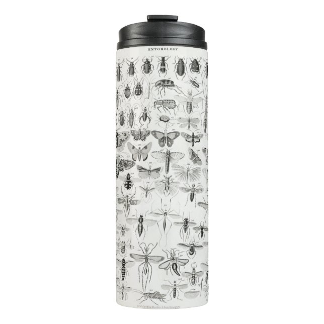 Entomologie aus der Geschichte der Erde und animie Thermosbecher (Vorderseite)