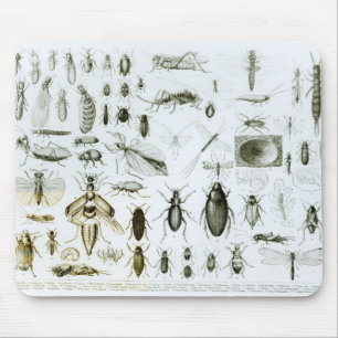 Entomologie-Insekten Mousepad