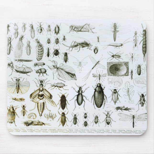 Entomologie-Insekten Mousepad (Vorne)