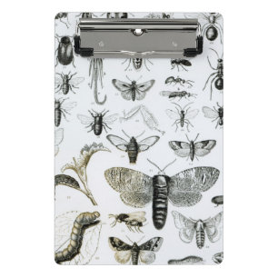 Entomologie Mini Klemmbrett
