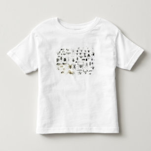 Entomologie, Myriapoda und spinnenartige Tiere Kleinkind T-shirt