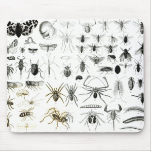 Entomologie, Myriapoda und spinnenartige Tiere Mousepad