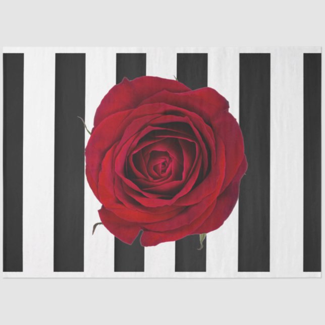 Entpackte Tissue Paper der 3D-Rote Rose Seidenpapier (Vorderseite)