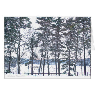 Entschädigung bei jeder Enttäuschung