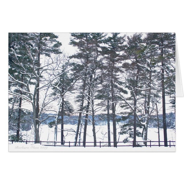 Entschädigung bei jeder Enttäuschung (Vorderseite (Horizontal))