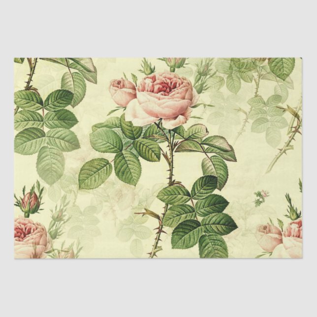Entschlüsseltes Papiertücher für die Vintage Rose  Seidenpapier (Vorderseite)