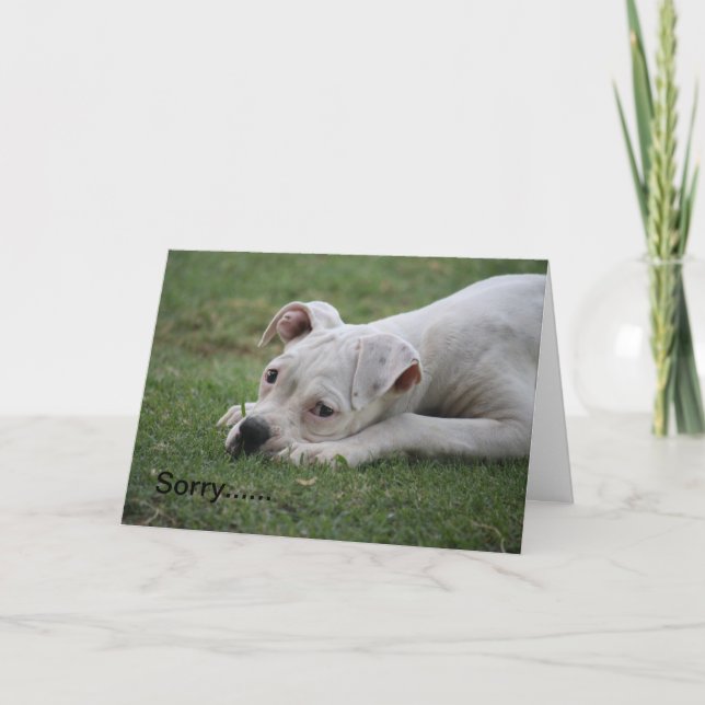 Entschuldige, dass du dich nicht so gut fühlst! karte (Vorderseite)