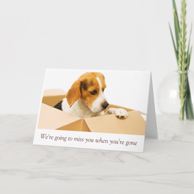 Entschuldige, dass du Karte gehen siehst (Vorderseite)