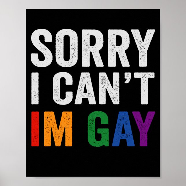 Entschuldige, dass ich kein Gay Funny Pride Month  Poster (Vorne)