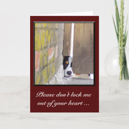 Entschuldige die Karte - Sperre mich nicht aus