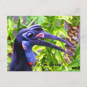 Entschuldige/verzeihe mir/ Vermisste You_Postcard Postkarte