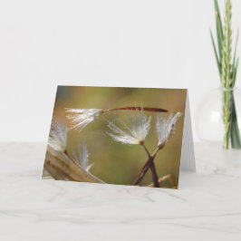 Entschuldigen Sie den Verlust, den der Löwenzahn m Karte