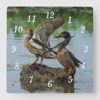 Entschuldigen Sie die Uhr