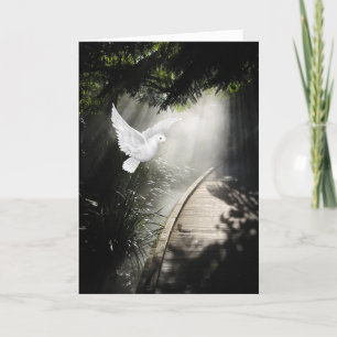 Entschuldigung für Verlust Beileid-Karte mit Taube Karte