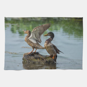 Entschuldigung Geschirrtuch