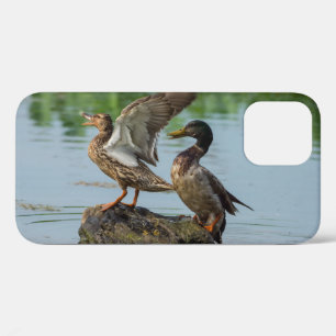 Entschuldigung iPhone-Hülle Case-Mate iPhone Hülle