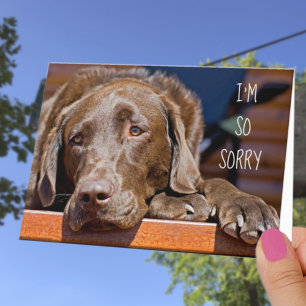 Entschuldigung Labrador Retriever verspäteter Gebu Karte