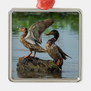 Entschuldigung Ornament Aus Metall