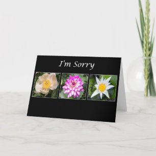 Entschuldigung Pfingstrose, Dahlie, Lotus Botanica Karte
