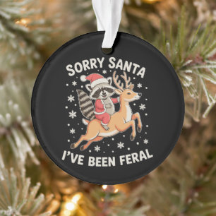 Entschuldigung Santa, ich war ein wilder Waschbär- Ornament