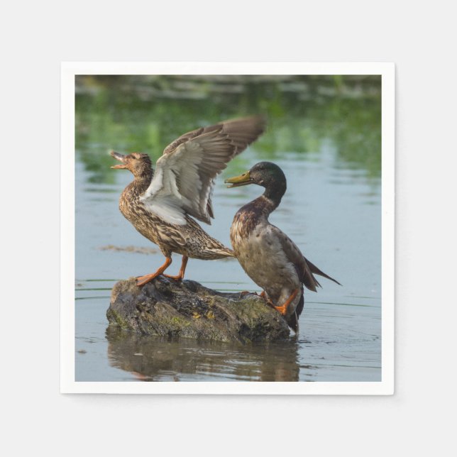 Entschuldigung Serviette (Vorderseite)