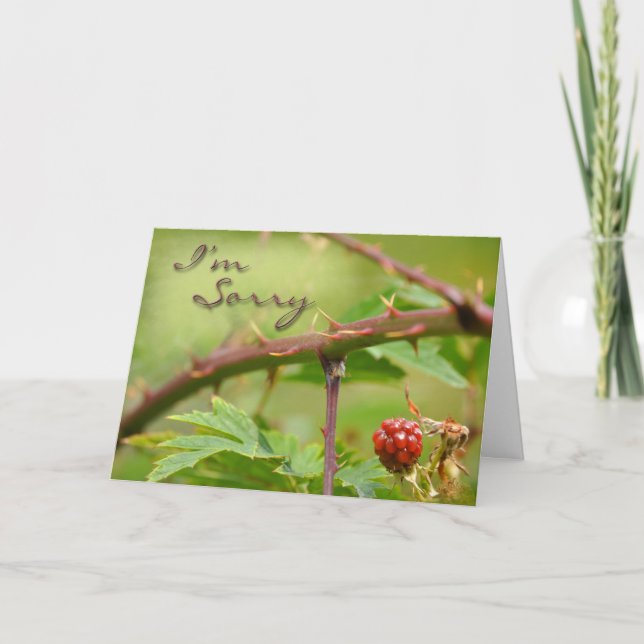 Entschuldigungskarte Entschuldigen Sie, dass Sie k Karte (Vorderseite)