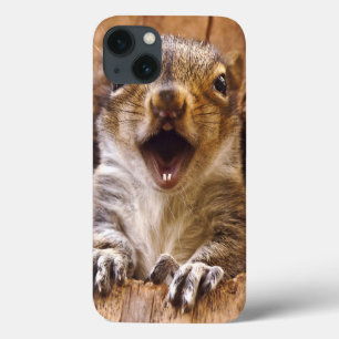 Entsetztes Eichhörnchen Case-Mate iPhone Hülle