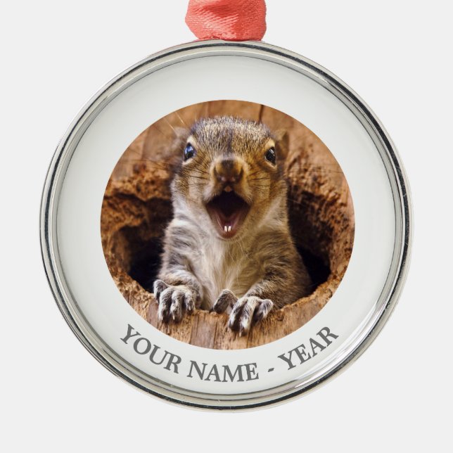 Entsetztes Eichhörnchen Ornament Aus Metall (Vorne)