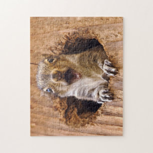 Entsetztes Eichhörnchen Puzzle