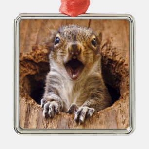 Entsetztes Eichhörnchen Silbernes Ornament