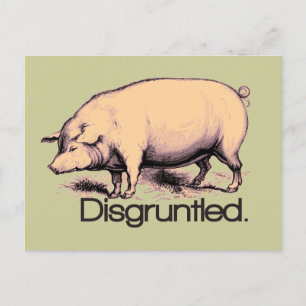 Entsetztes Schwein Postkarte