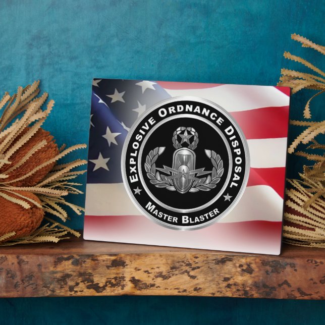 Entsorgung explosiver Stoffe (EOD) Fotoplatte (Seite)