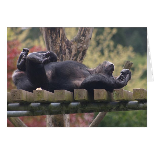 Entspann dich! (Vorderseite (Horizontal))