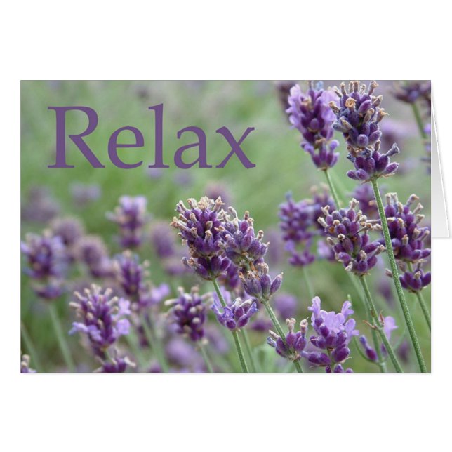 Entspannen (Vorderseite (Horizontal))