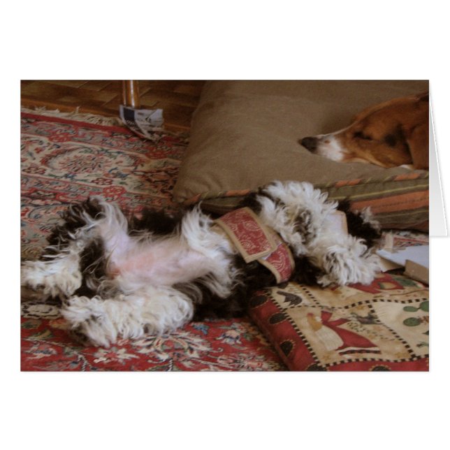 ENTSPANNEN! (Vorderseite (Horizontal))