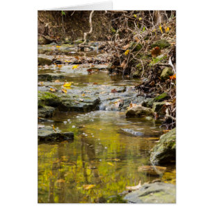 Entspannen bei Nordkriegen