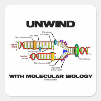 Entspannen mit molekularer Biologie (DNA-Replikati Quadratischer Aufkleber
