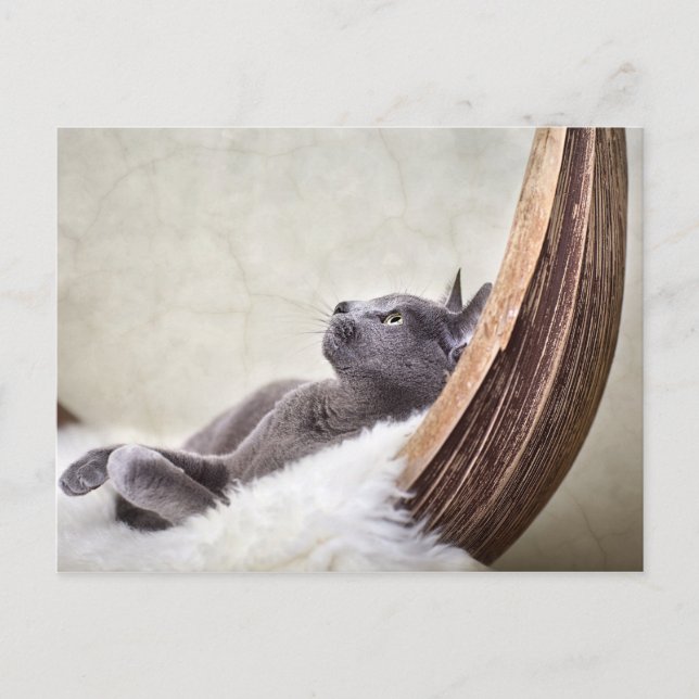 Entspannen Postkarte (Vorderseite)