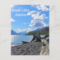 Entspannen Sie am Driftwood Beach Log Kenai Lake,