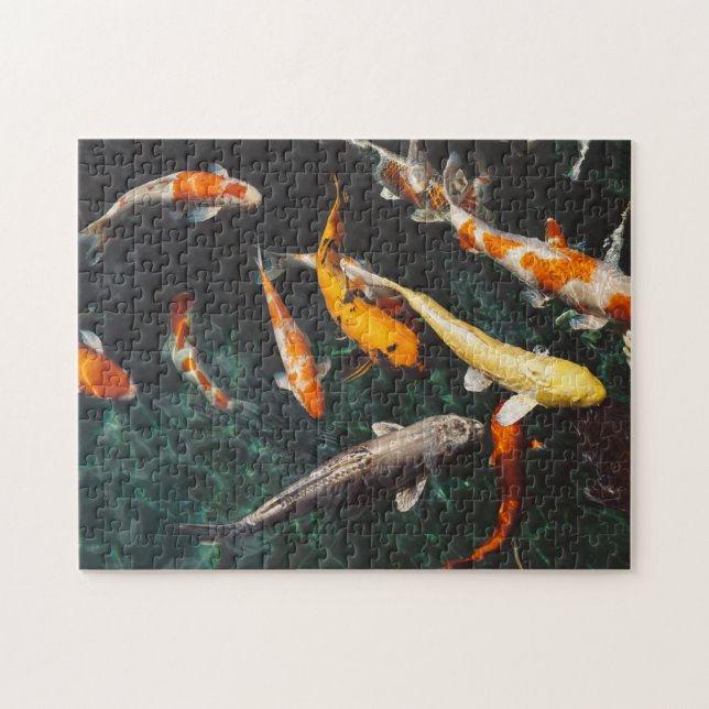 Entspannen Sie am Orange & White Asian Koi Fish Po Puzzle (Horizontal)