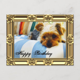 Entspannen Sie sich bei Yorkie Birthday Postkarte