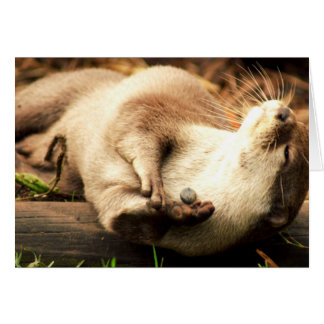 Entspannen Sie sich und genießen Sie!