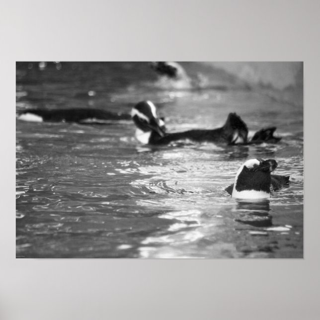 Entspannend Poster (Vorne)