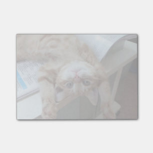 Entspannende Miezekatze Post-it Klebezettel
