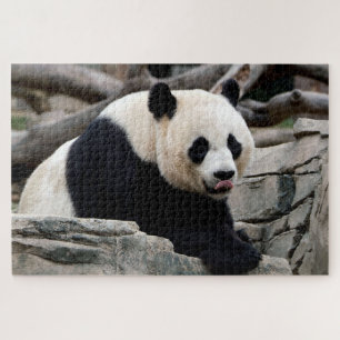 Entspannende Riesenpanda, Jigsaw Puzzle