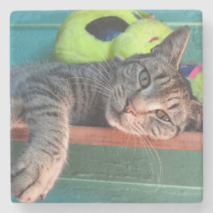 Entspannende Tiger Cat Liebe Steinuntersetzer