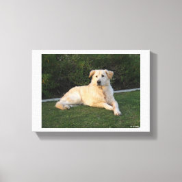 Entspannender Hund Leinwanddruck